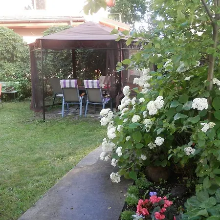 Near The Concert Hall Dzintari Jurmala